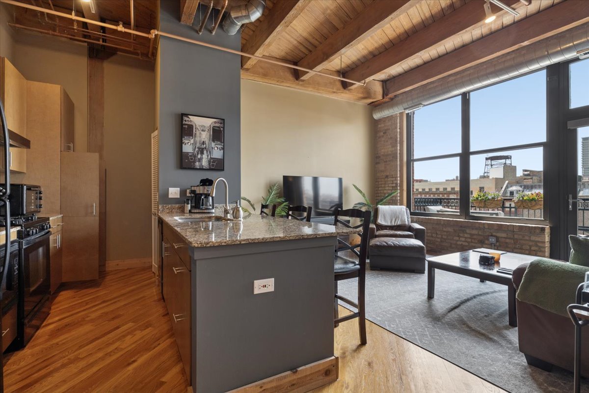 1040 West Adams Street, Unit 402 Chicago, IL 60607 - Photo 5 of 20