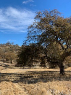 0 Golden Pond Road Creston, CA 93432 - Photo 11 of 18 Gallery Image 11