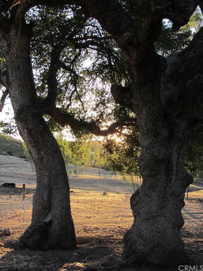 0 Golden Pond Road Creston, CA 93432 - Photo 8 of 18 Gallery Image 8