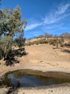 0 Golden Pond Road Creston, CA 93432 - Photo 10 of 18 Gallery Image 10