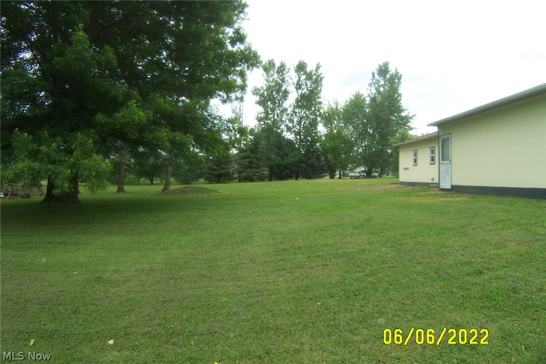 27036 Center Road Beloit, OH 44609 - Photo 6 of 26 REAR YARD