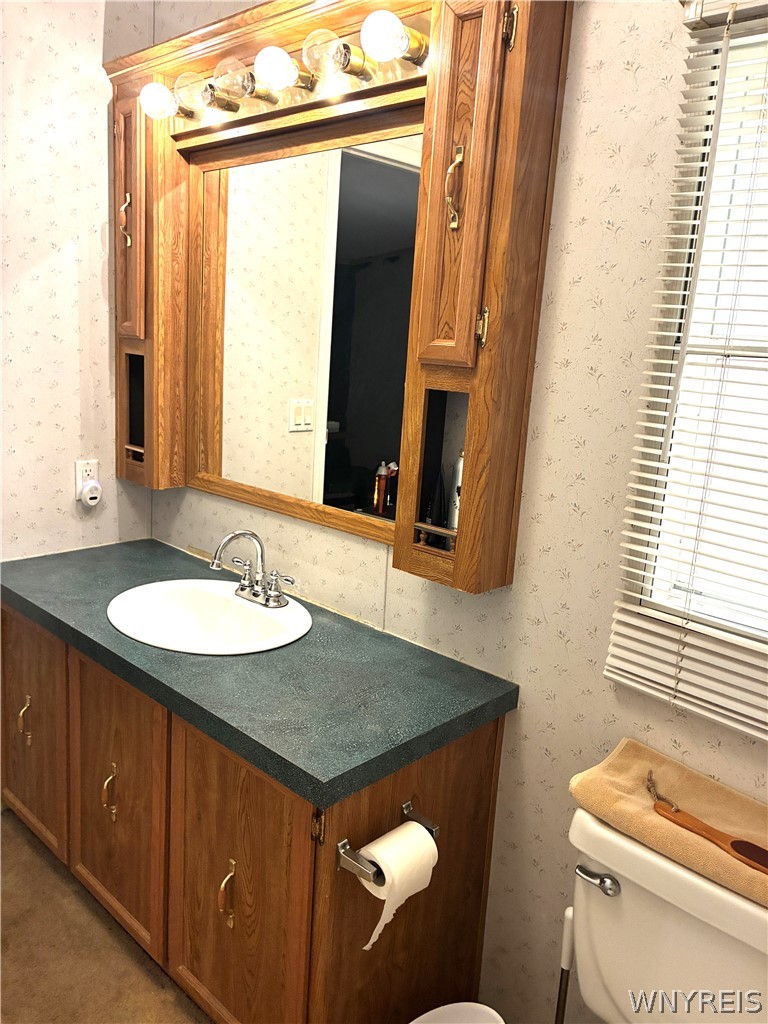 6035 South Transit Road Lockport Town, NY 14094 - Photo 20 of 32 NEW SINK