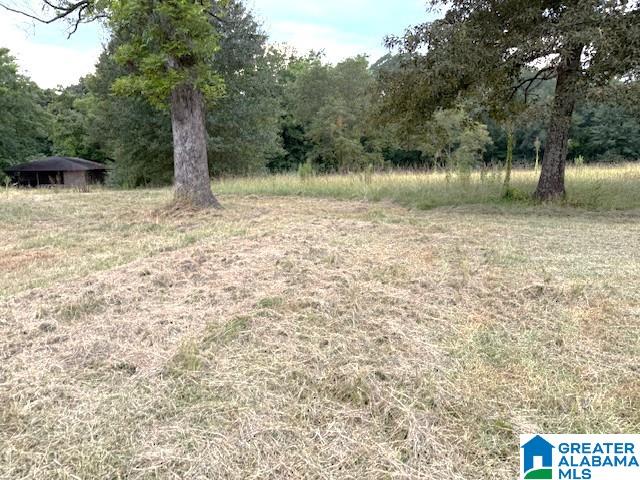 6200 Warrior River Road Bessemer, AL 35023 - Photo 17 of 25