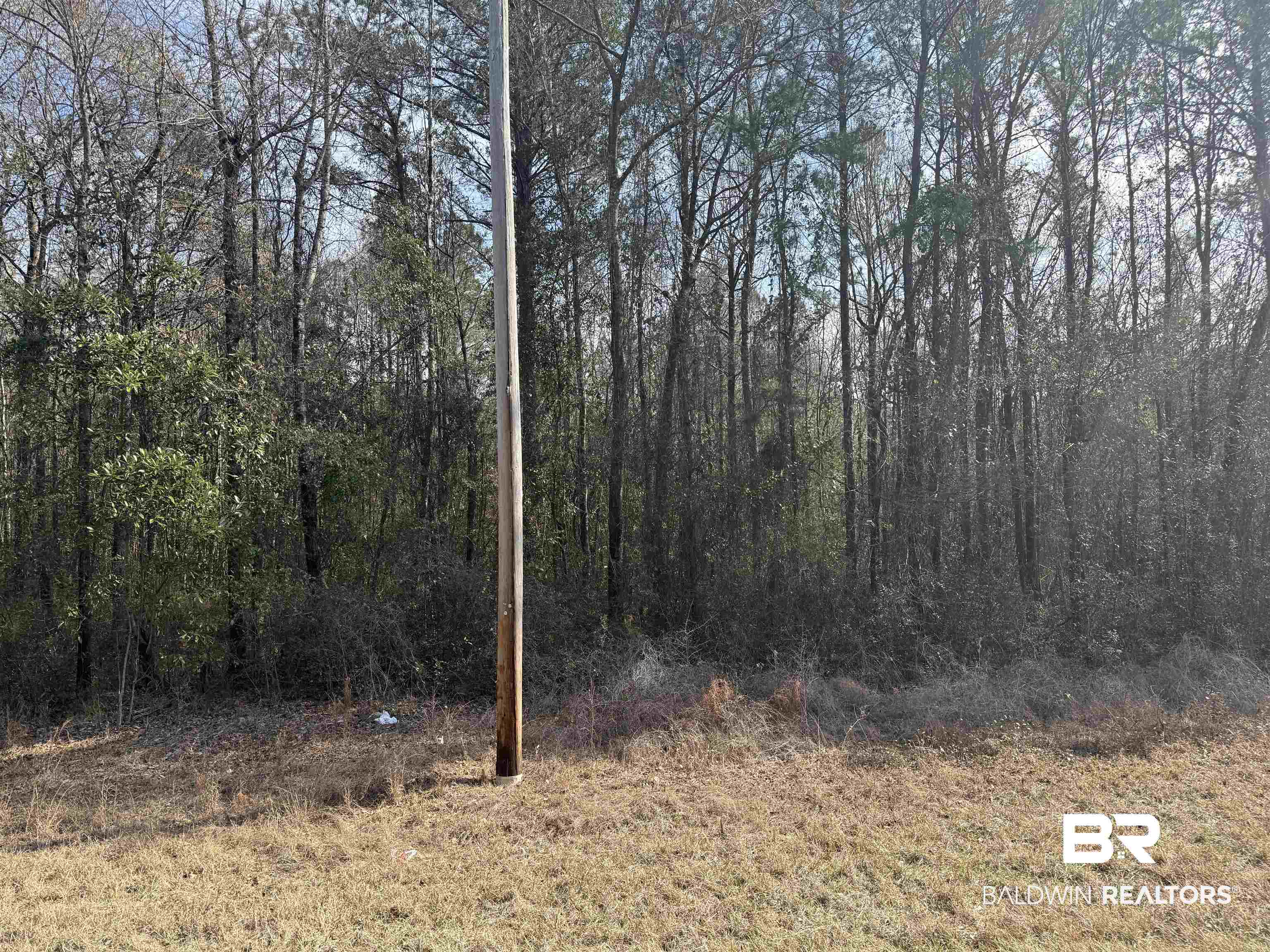 0 Highway 41 Range, AL 36473 - Photo 3 of 11 View of nature