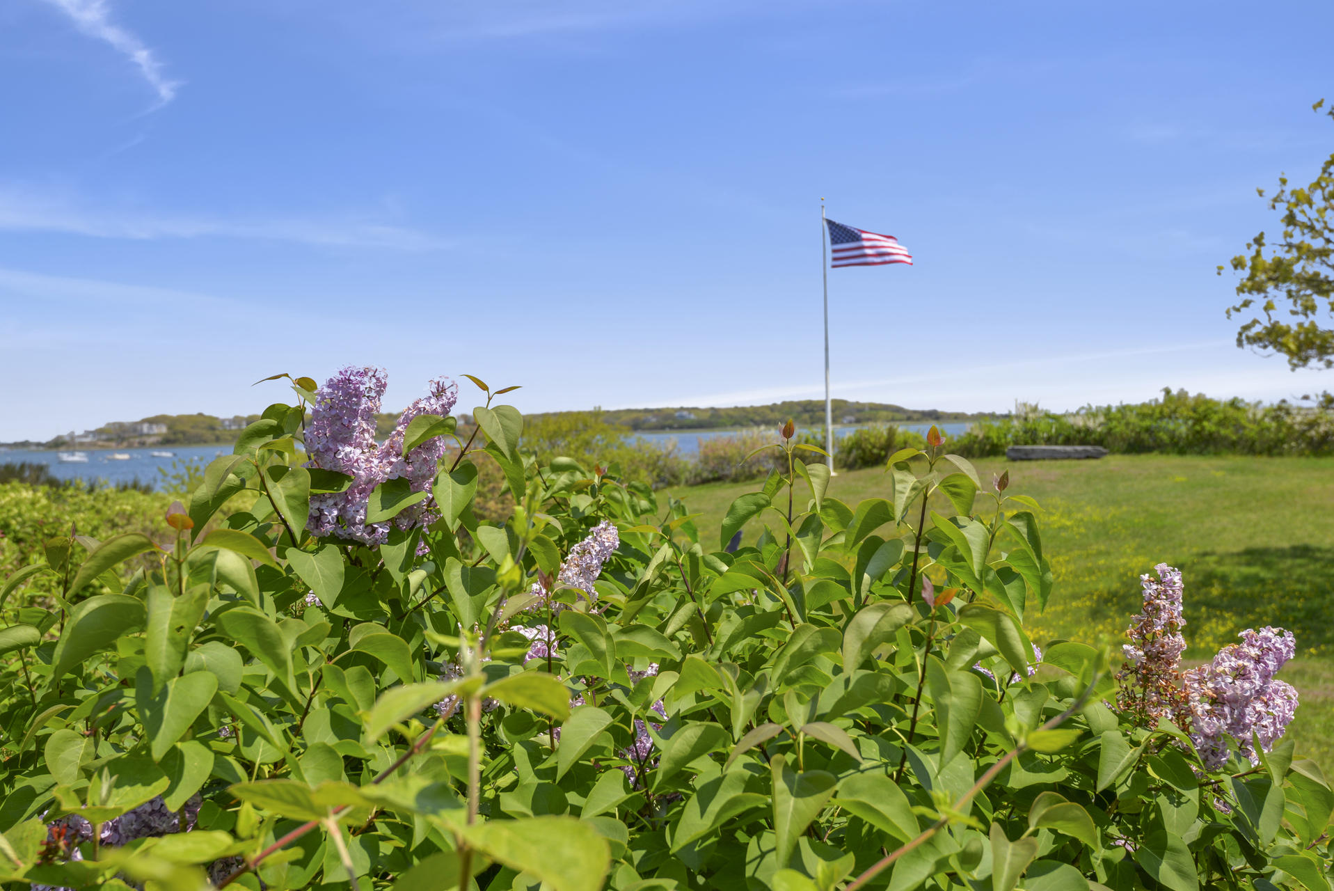 55 Sears Point Road Chatham, MA 02633 - Photo 26 of 26 a backyard of a house with lots of green space