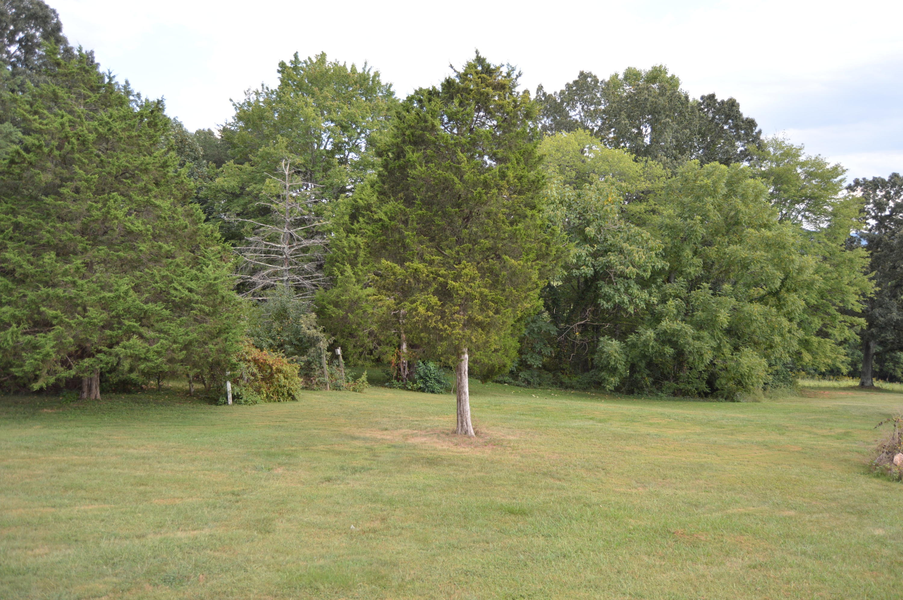 4266 Green Level Road Rocky Mount, VA 24151 - Photo 26 of 27 Yard