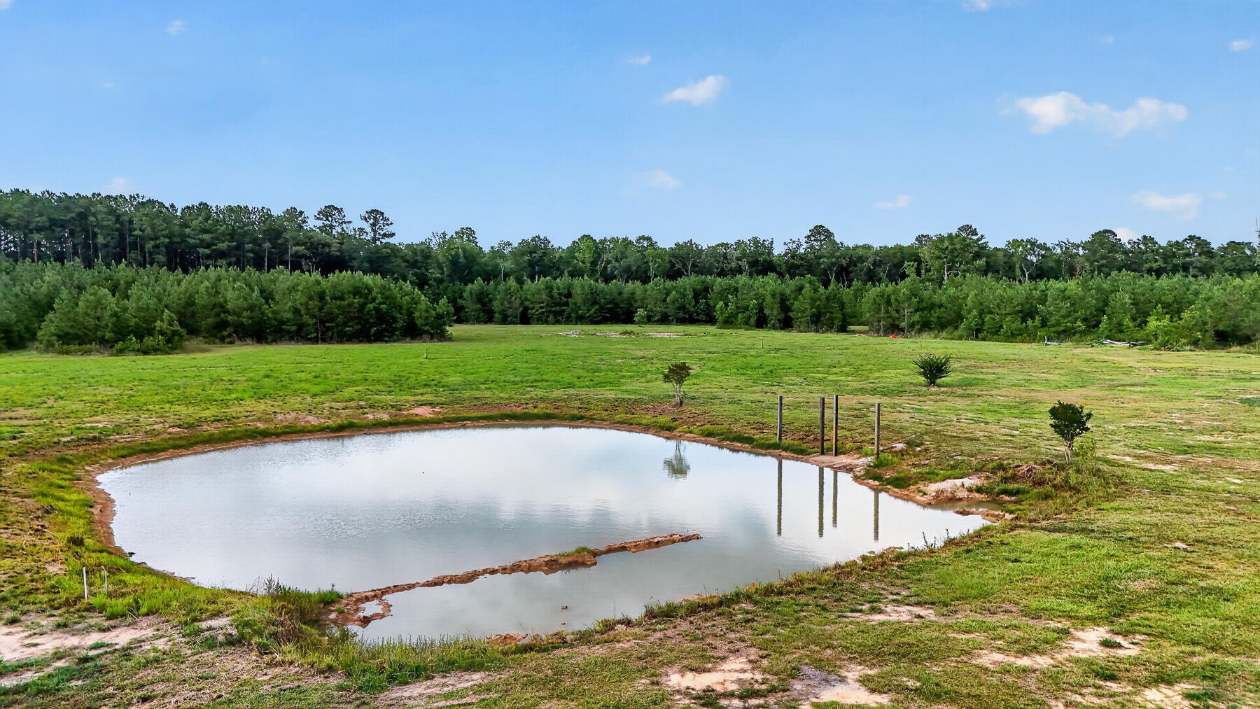 135 Ponley Lane Cottageville, SC 29435 - Photo 45 of 64 GM-92-2