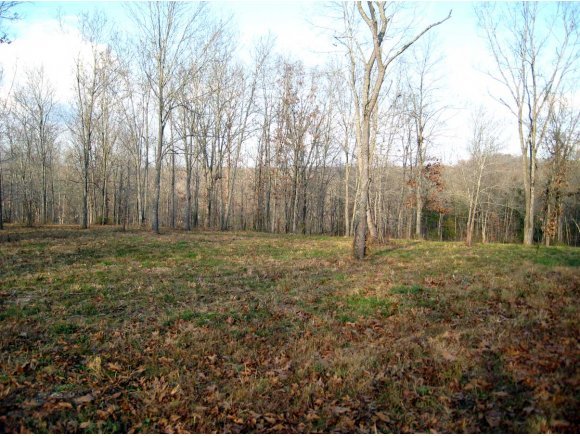 Lot 65 Long Point Lane Ridgedale, MO 65739 - Photo 1 of 1 Primary Photo