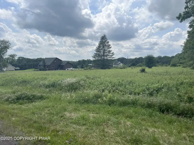a view of a big yard and mountain