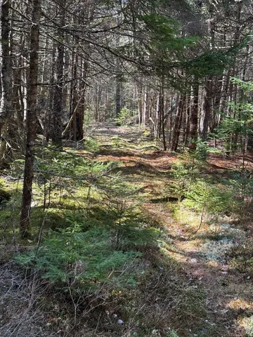 $219,000 | Lot 48 A Route 1, Gouldsboro, ME 04607