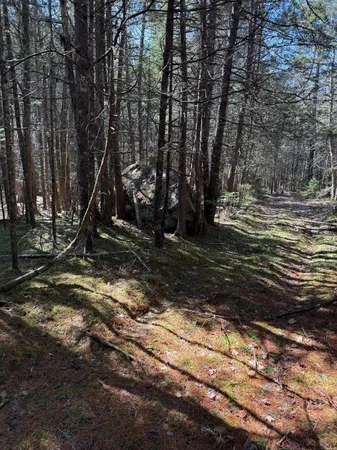 $199,000 | Lot 48 A Route 1, Gouldsboro, ME 04607