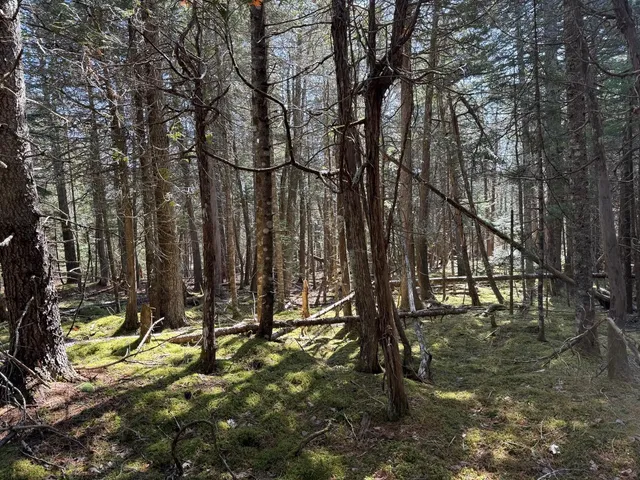 $219,000 | Lot 48 A Route 1, Gouldsboro, ME 04607