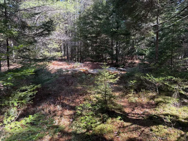 $219,000 | Lot 48 A Route 1, Gouldsboro, ME 04607