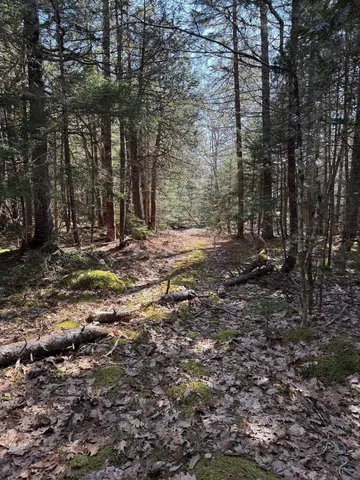$219,000 | Lot 48 A Route 1, Gouldsboro, ME 04607