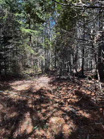 $219,000 | Lot 48 A Route 1, Gouldsboro, ME 04607