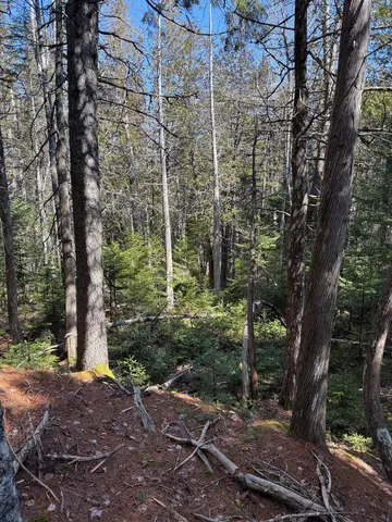 $219,000 | Lot 48 A Route 1, Gouldsboro, ME 04607