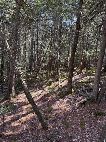 $219,000 | Lot 48 A Route 1, Gouldsboro, ME 04607