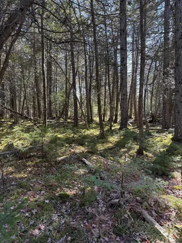 $219,000 | Lot 48 A Route 1, Gouldsboro, ME 04607
