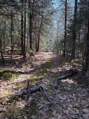 $219,000 | Lot 48 A Route 1, Gouldsboro, ME 04607