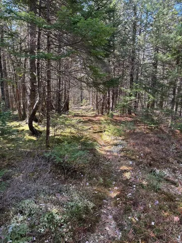 $219,000 | Lot 48 A Route 1, Gouldsboro, ME 04607
