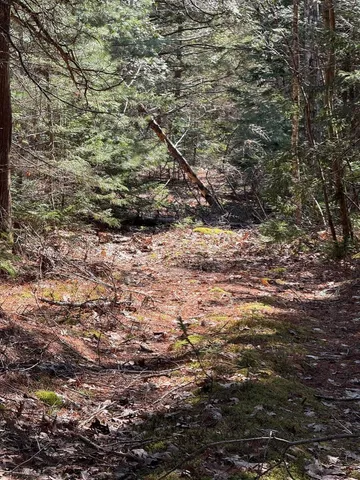 $219,000 | Lot 48 A Route 1, Gouldsboro, ME 04607