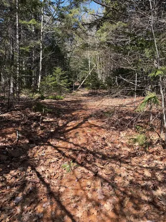 $199,000 | Lot 48 A Route 1, Gouldsboro, ME 04607