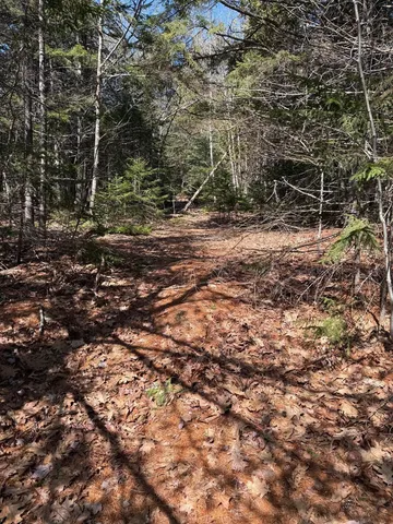 $219,000 | Lot 48 A Route 1, Gouldsboro, ME 04607