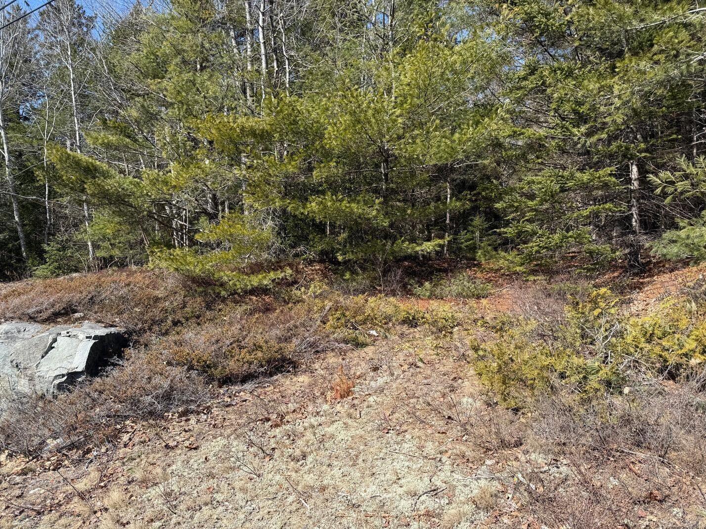 Lot 48 A Route 1 Gouldsboro, ME 04607 - Photo 4 of 20 IMG_1190