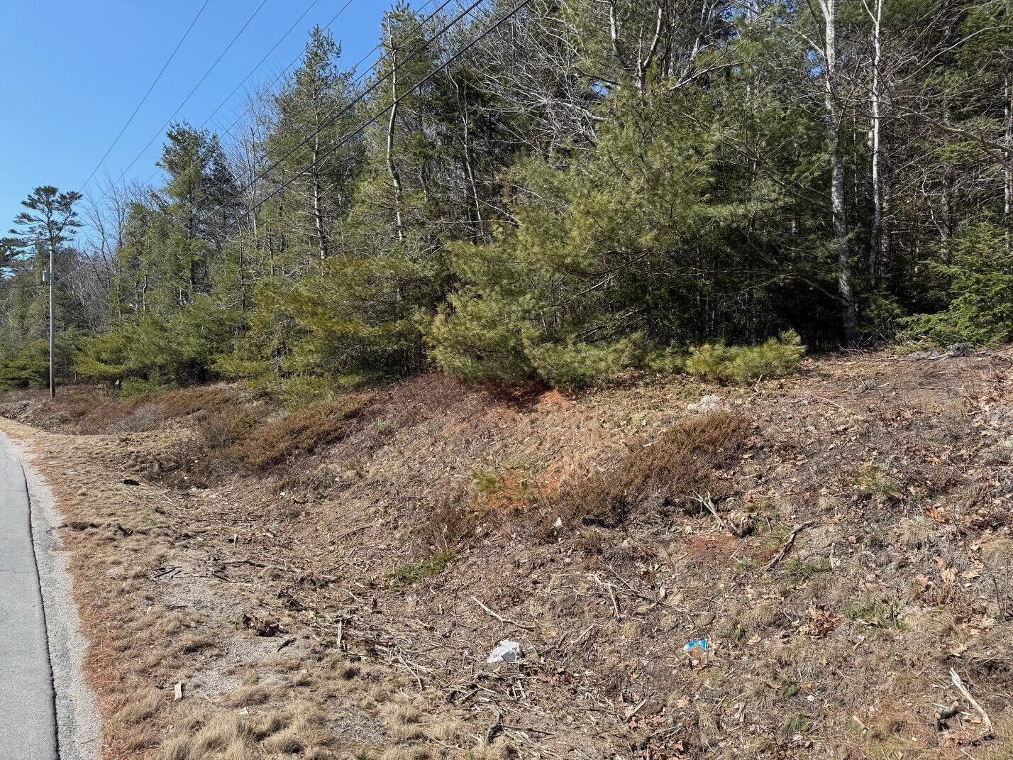 Lot 48 A Route 1 Gouldsboro, ME 04607 - Photo 5 of 20 IMG_1191