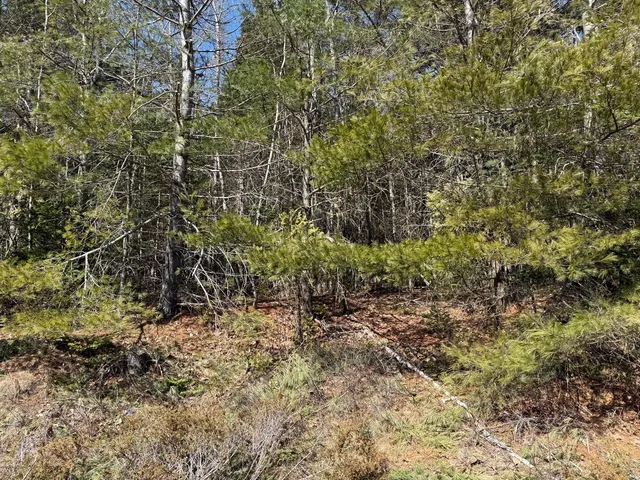 $219,000 | Lot 48 A Route 1, Gouldsboro, ME 04607