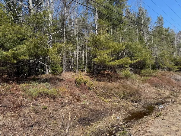 $199,000 | Lot 48 A Route 1, Gouldsboro, ME 04607