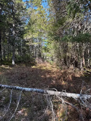 $219,000 | Lot 48 A Route 1, Gouldsboro, ME 04607