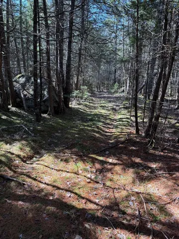 $219,000 | Lot 48 A Route 1, Gouldsboro, ME 04607