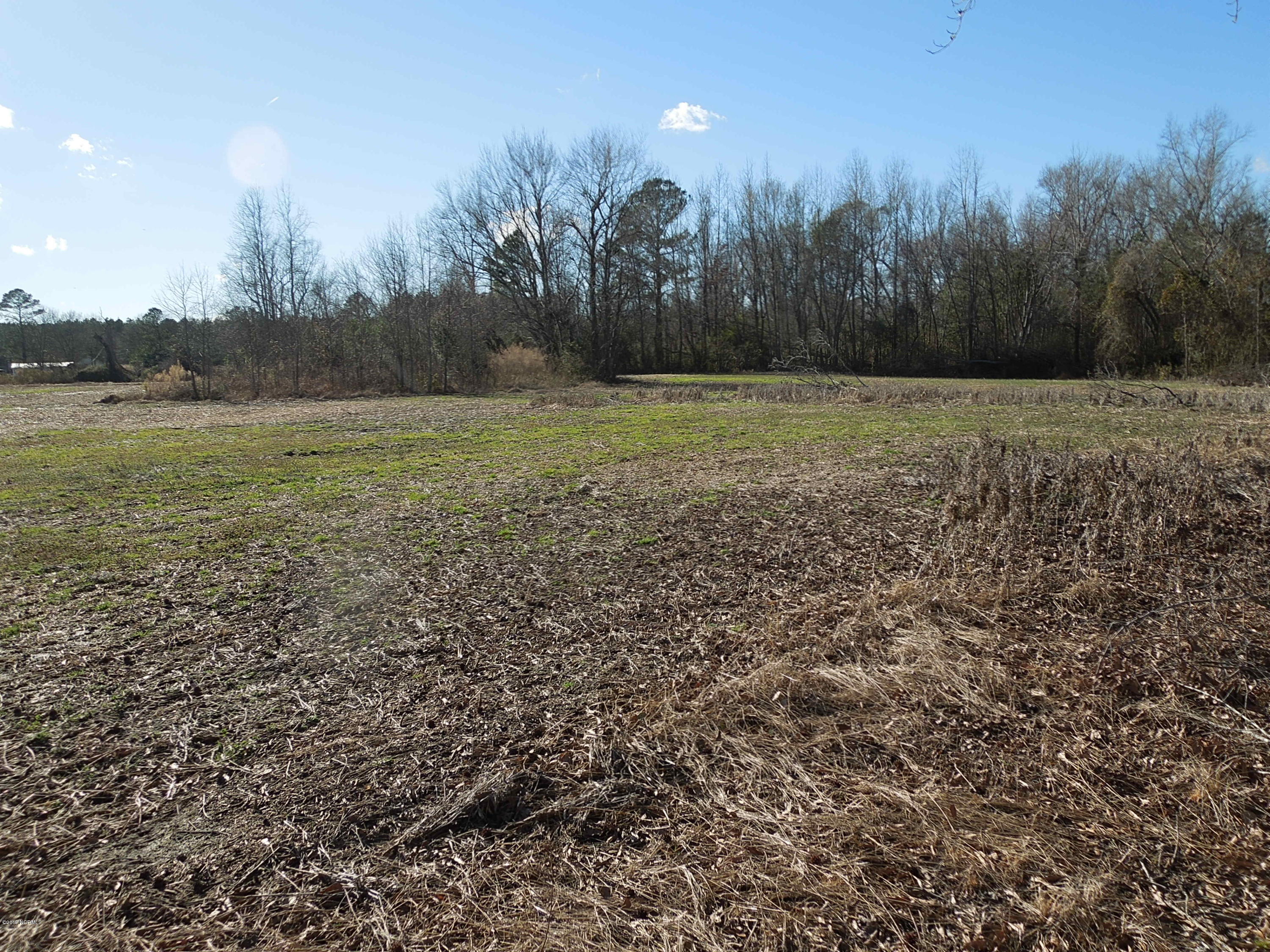 4 Beattys Bridge Road Atkinson, NC 28421 - Photo 8 of 10 DSCN4302