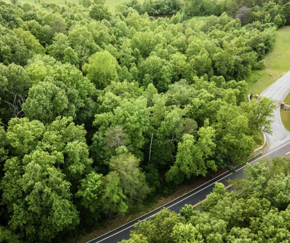 20 Espalier Drive, Unit LOT 20 Decatur, TN 37322 - Photo 6 of 7 ESPALIER BAY