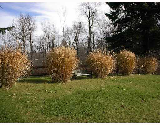 Yard/Garden. 