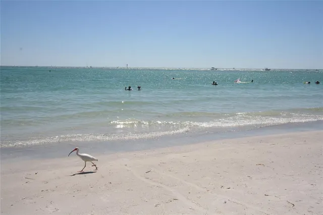 a view of a building in the background