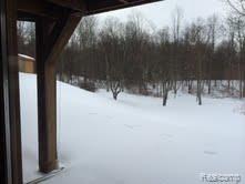 1045 West Buno Road Milford, MI 48381 - Photo 47 of 53 38.jpg