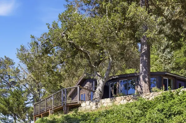 front view of a house with a tree