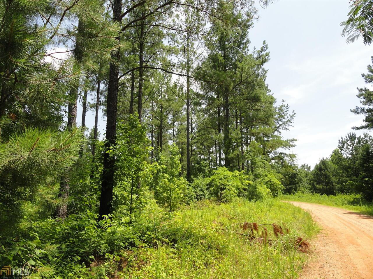 0 Rocky Ridge Road Crawford, GA 30630 - Photo 1 of 1