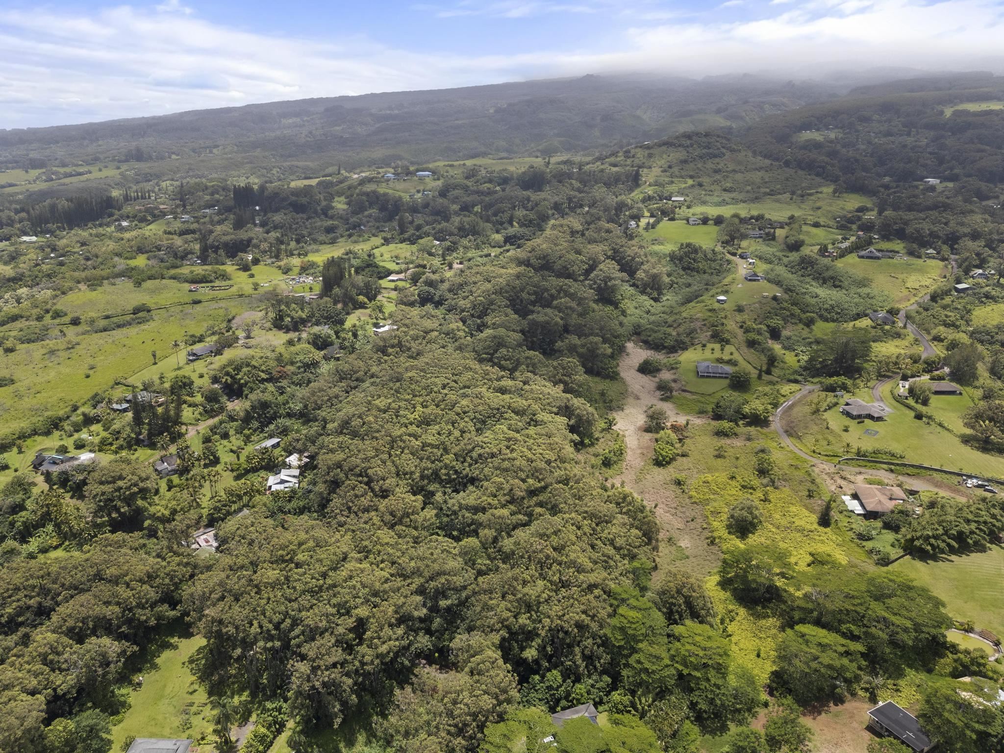 0 Kaupakalua Road Haiku, HI 96708 - Photo 4 of 14