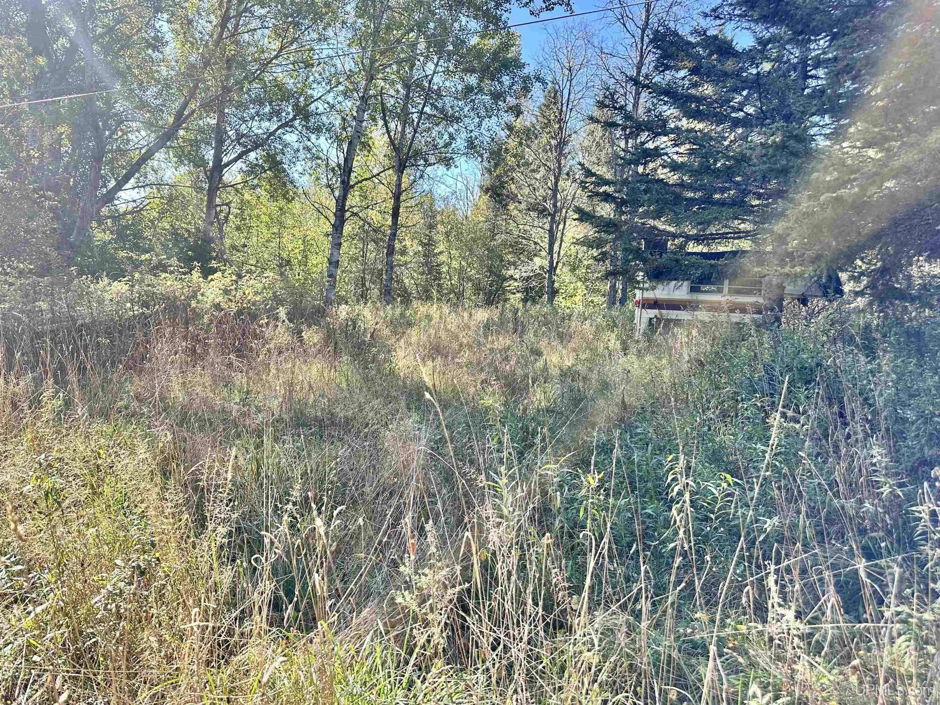 Tbd South Johnson Road Bessemer, MI 49911 - Photo 5 of 29 Gallery Image 5
