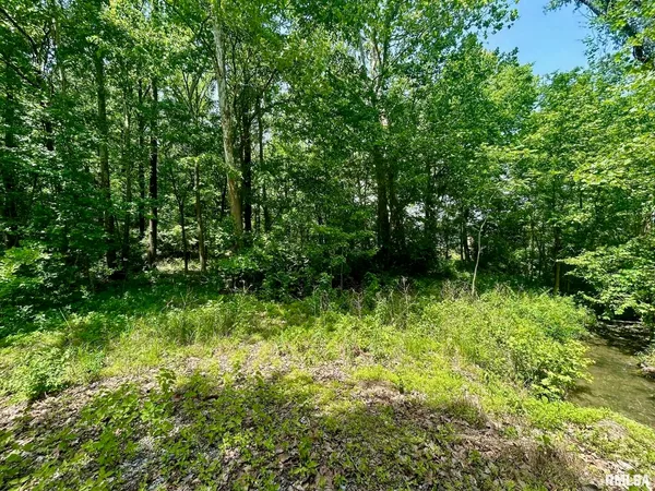 a view of green field with trees