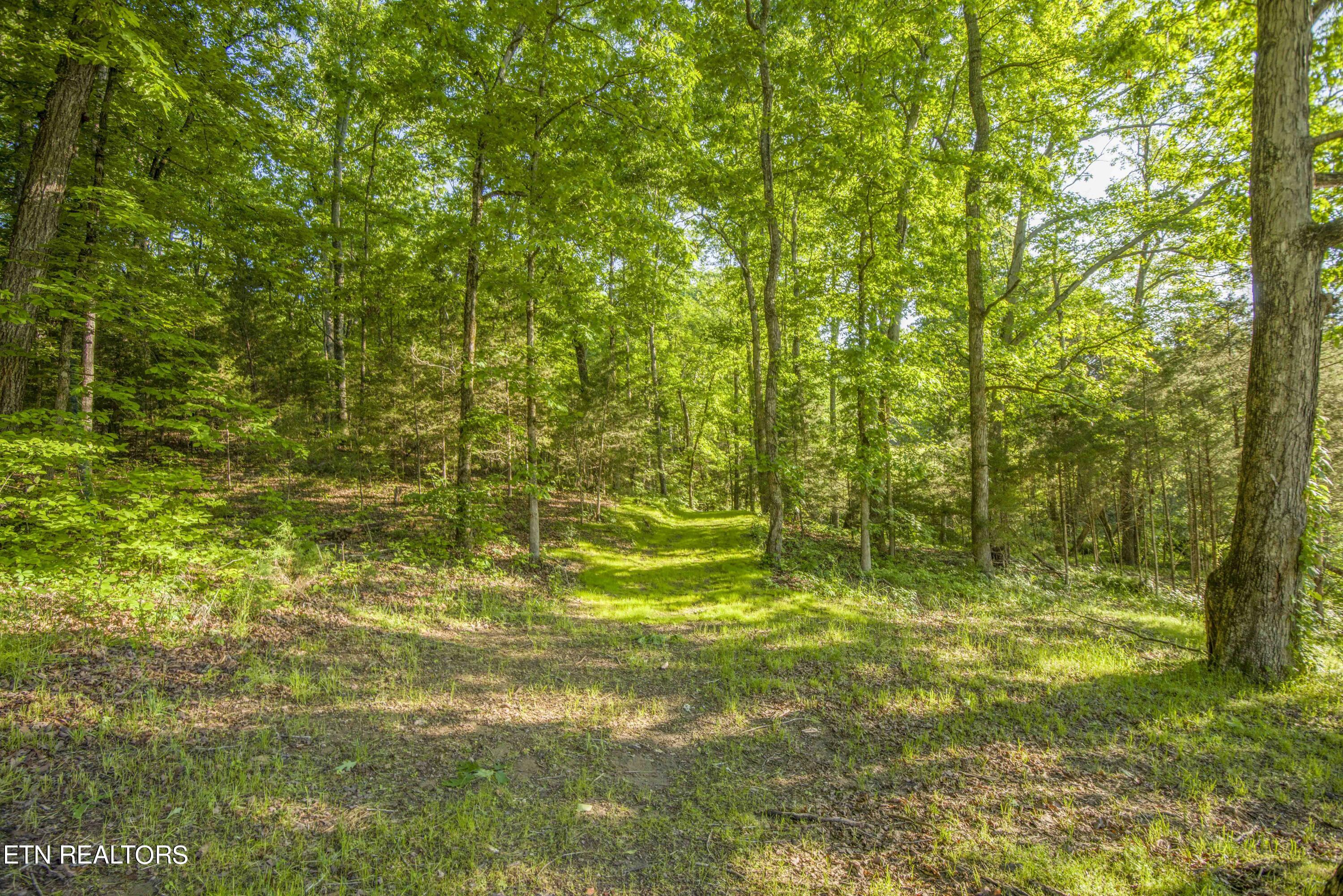 333 Pekoma Road Philadelphia, TN 37846 - Photo 54 of 59 Yard