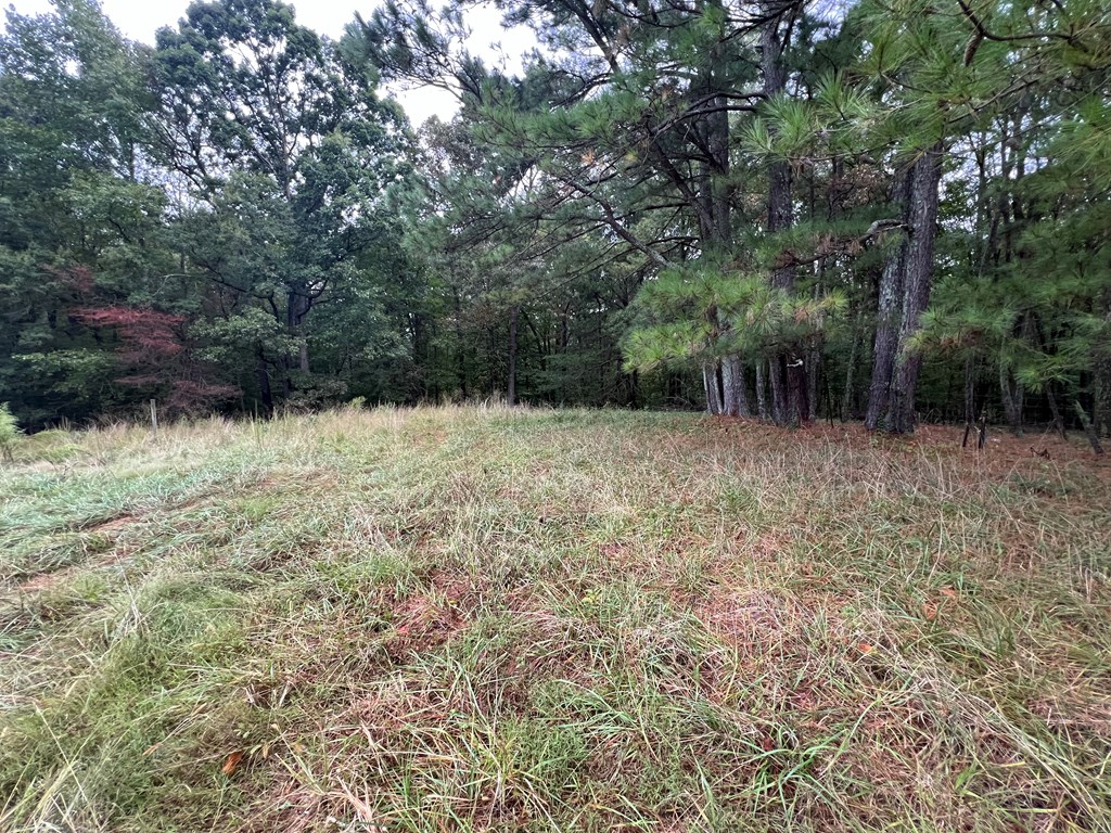 759 Carbondale Road Southwest Dalton, GA 30721 - Photo 13 of 22 Gallery Image 13