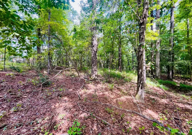 $264,000 | 299 Country Club Road, St. Matthews, SC 29135