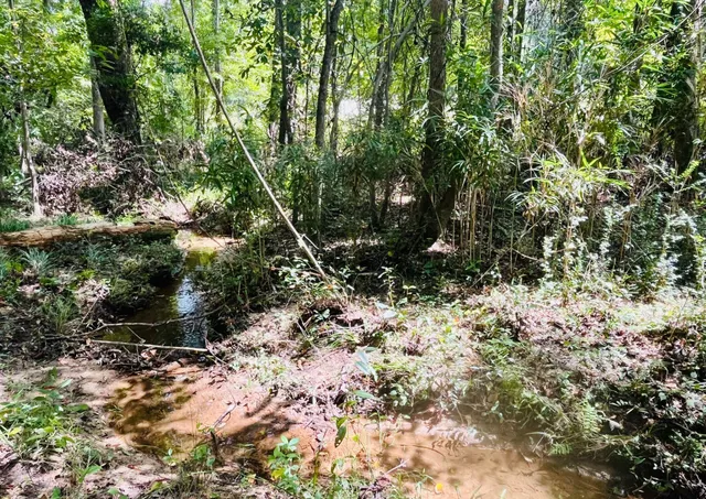 $264,000 | 299 Country Club Road, St. Matthews, SC 29135