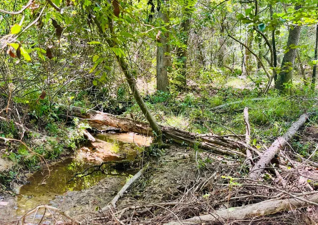 $264,000 | 299 Country Club Road, St. Matthews, SC 29135