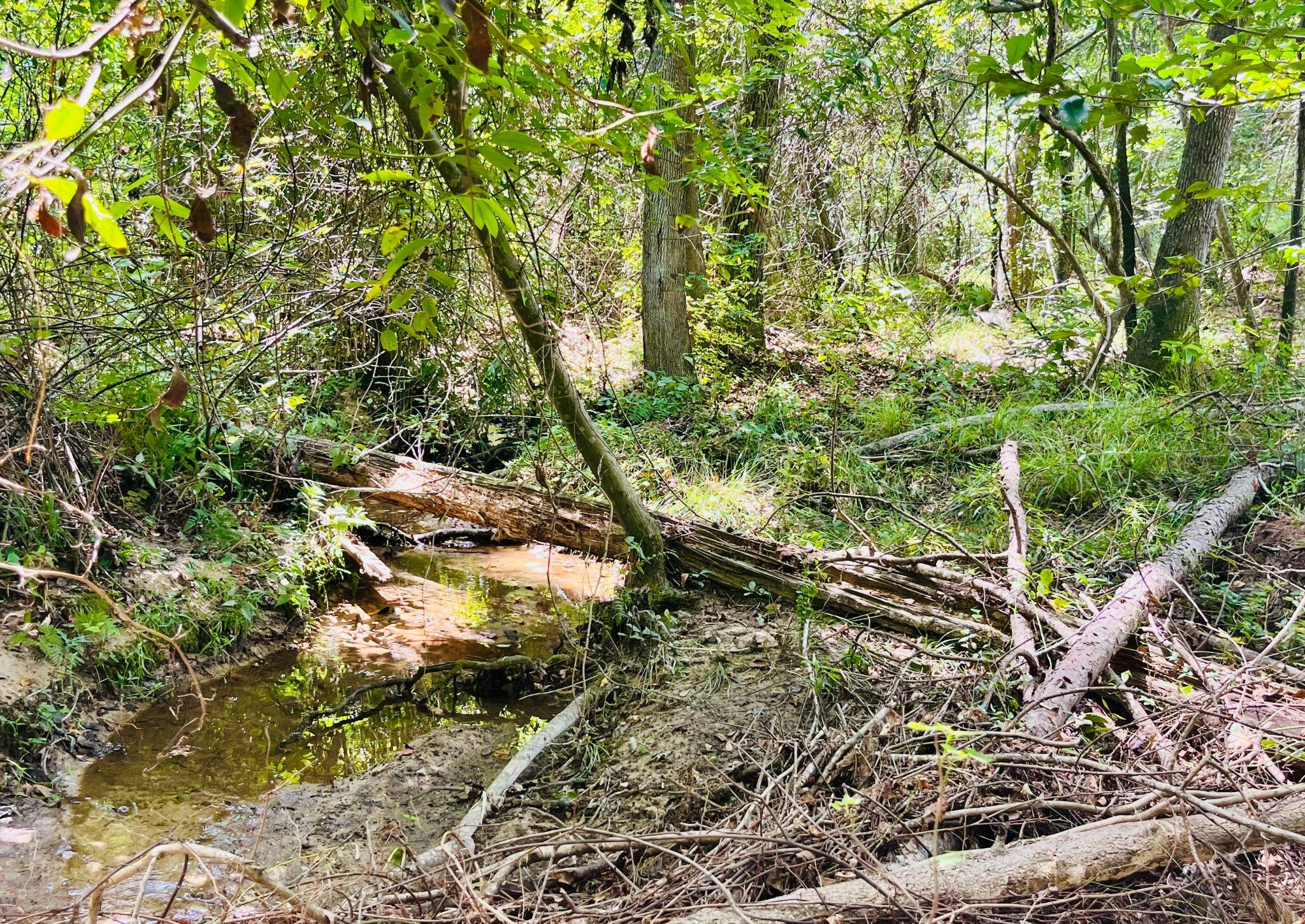 299 Country Club Road St. Matthews, SC 29135 - Photo 6 of 30 6