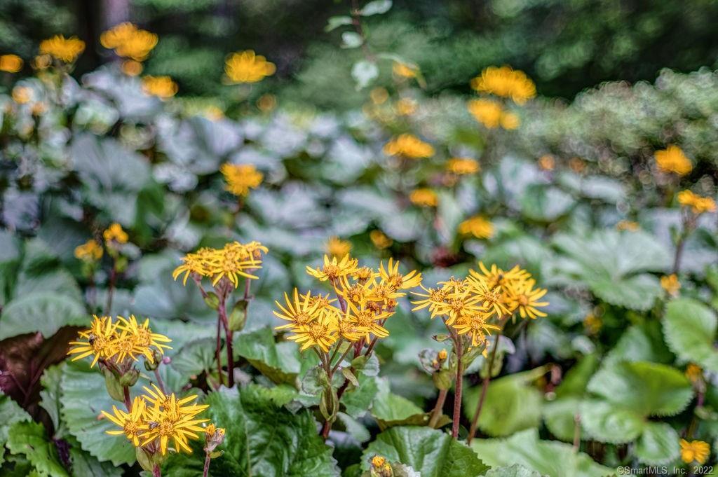 Undisclosed Address Roxbury, CT 06783 - Photo 31 of 33